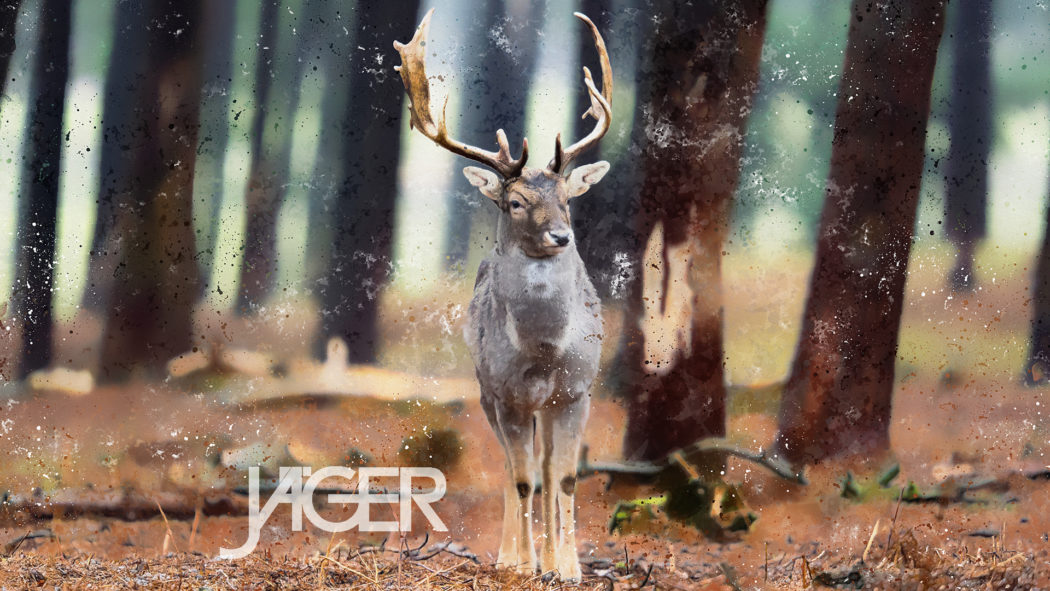 Jäger10 Bildschirm_FINAL