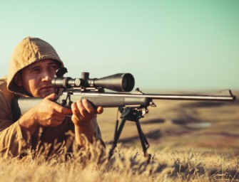 Jagdtaktik – wo lohnt die Pirsch auf Raubwild im Feld?