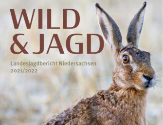 Landesjagdbericht: Rekordstrecke beim Waschbären in Niedersachsen