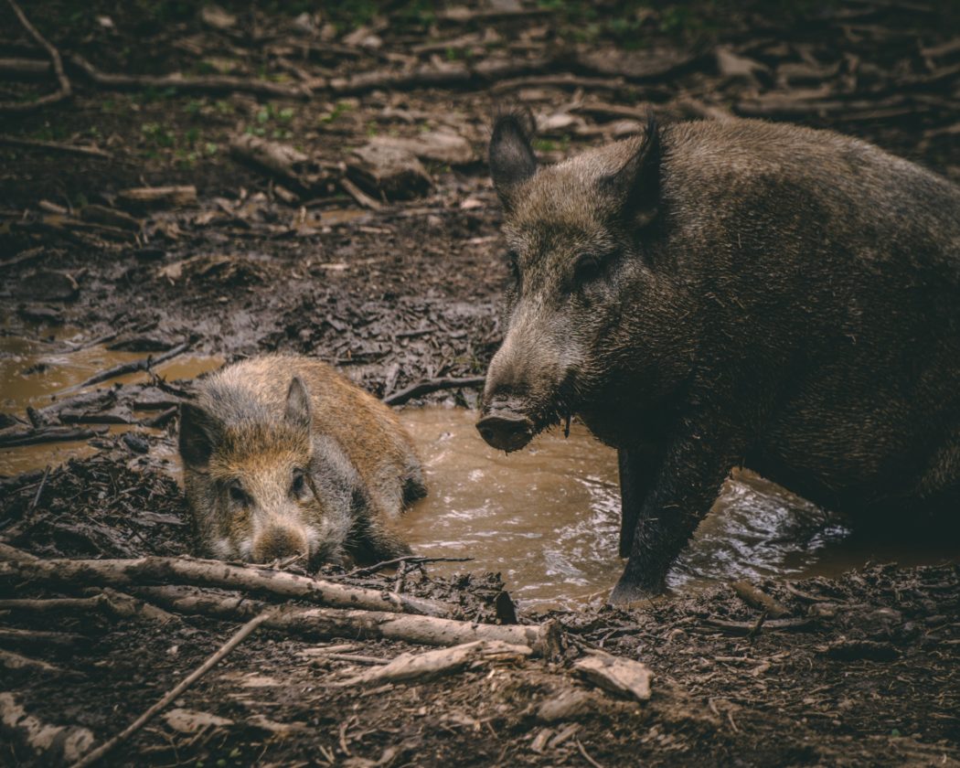 jonathan-kemper-q3O4EEgwLoA-unsplash-2