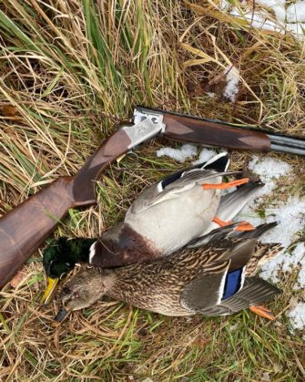 Bleischrot in Feuchtgebieten im Europäischen Wirtschaftsraum verboten