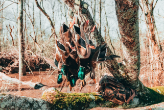 Wasserwild – Entenbesätze in den USA nehmen zu