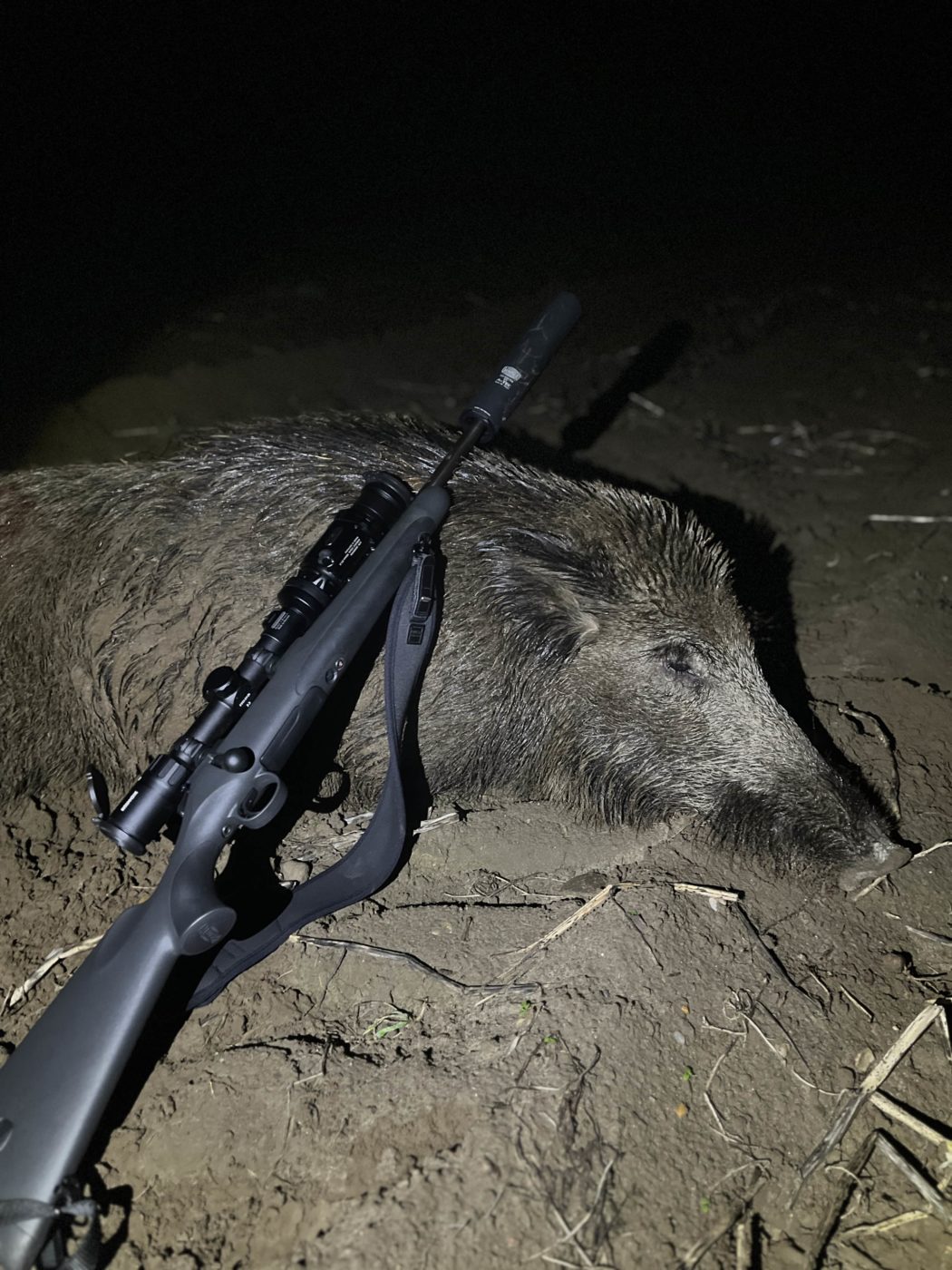 Die erste Büchse die richtige Waffe für alle Fälle Jäger