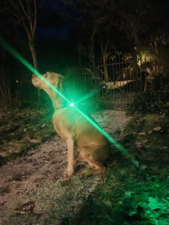Das Orbiloc Safety Light schützt Sie und ihren Hund