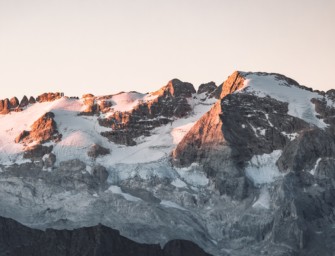 Südtirol – kranker Wolf erregt Tierschützer in Trentino