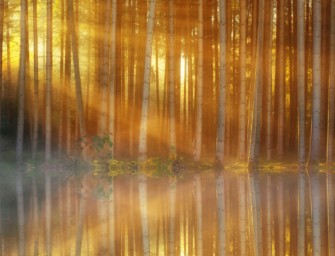 Grünes Band Deutschland – Wie geht es weiter in Hessen?