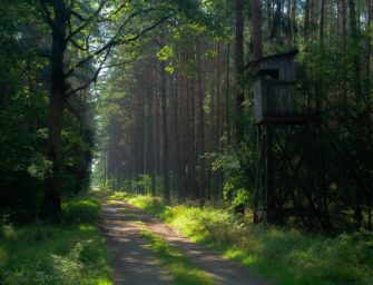 Anzahl der Jäger in Deutschland steigt weiter