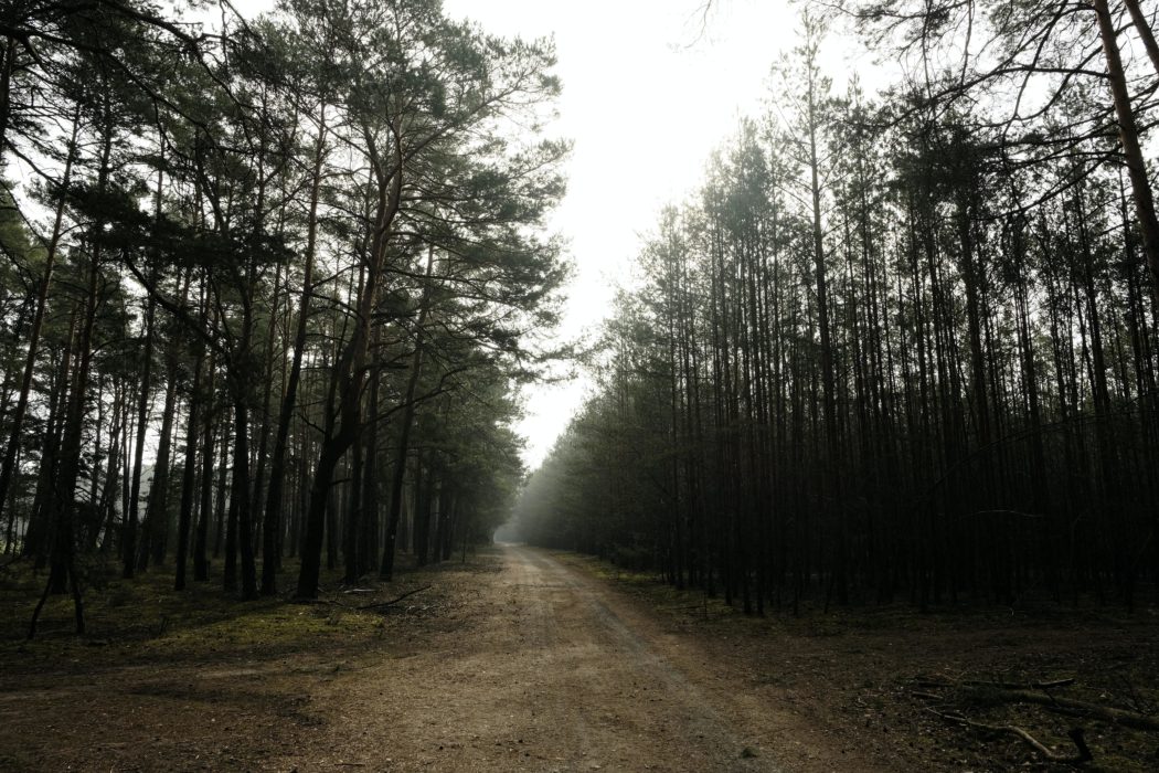 sebastian-herrmann-lrLSfUlRvcQ-unsplash