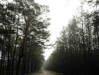 Förderung in Brandenburg bleibt aus – wer hat Schuld?