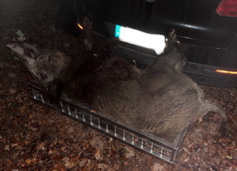 Heckträger – so rüsten Sie das Revierfahrzeug für die Jagd