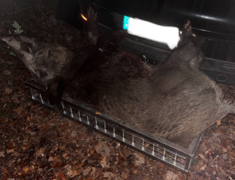 Heckträger – so rüsten Sie das Revierfahrzeug für die Jagd