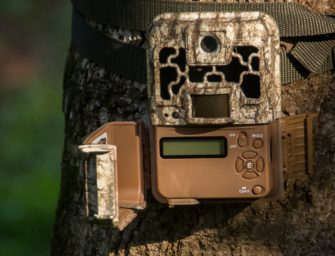 Wildkameras entwendet- Dieb überführt