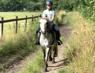 Wolf verfolgt Mädchen auf ihrem Pony in NRW