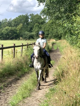 Wolf verfolgt Mädchen auf ihrem Pony in NRW