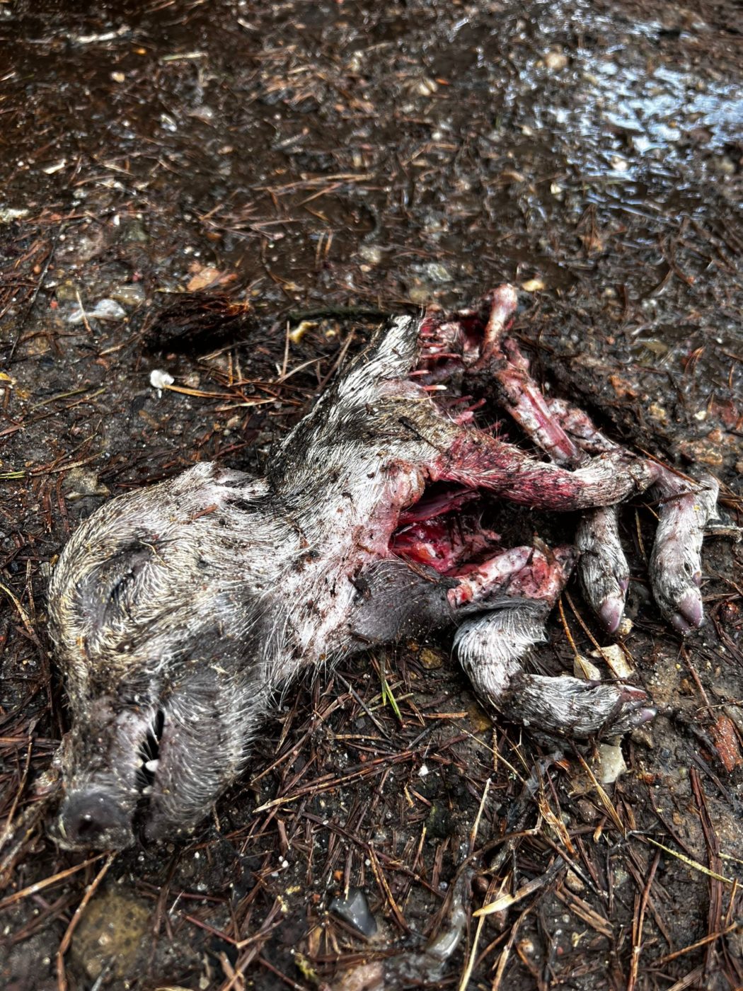 efc59170-d56e-4248-a665-a448699386c9