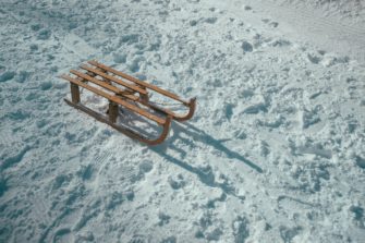 Verden: Kinder begegnen bei Schlittenfahrt Wölfen