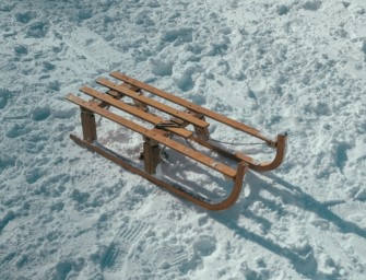 Verden: Kinder begegnen bei Schlittenfahrt Wölfen