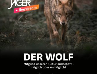 Der Wolf Mitglied unserer Kulturlandschaft – möglich oder unmöglich?