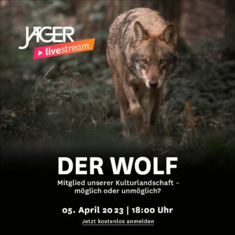 Der Wolf Mitglied unserer Kulturlandschaft – möglich oder unmöglich?