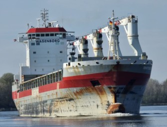 Rehbock trifft Containerschiff