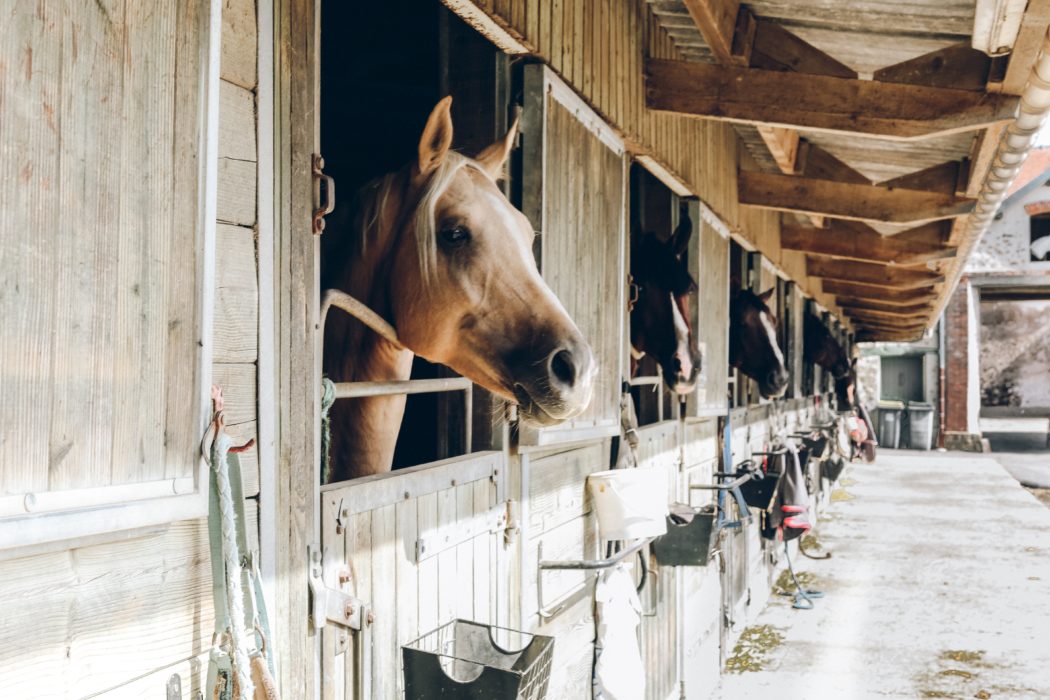 anna-kaminova-cCsbIhfjfTY-unsplash