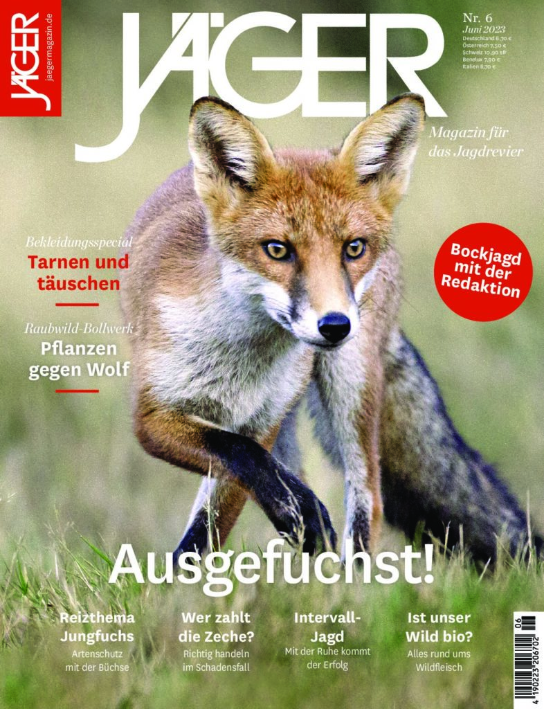 Titel_06
