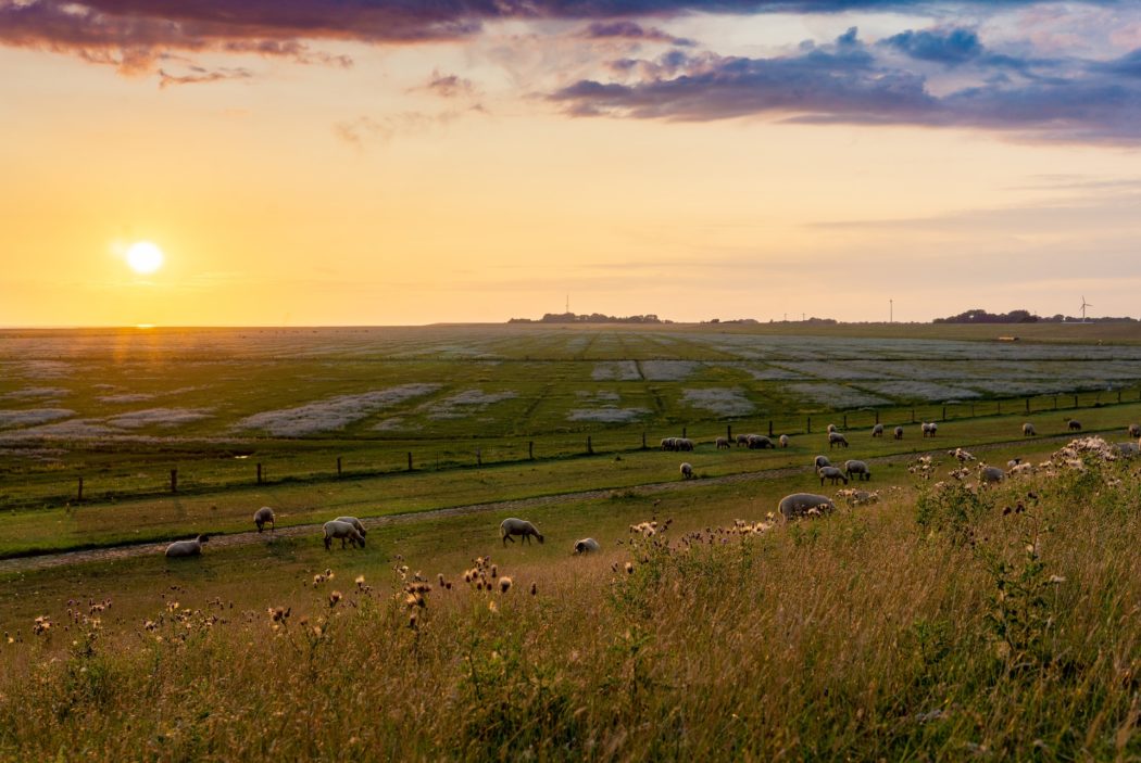 gritte-mvoksMmoxGc-unsplash