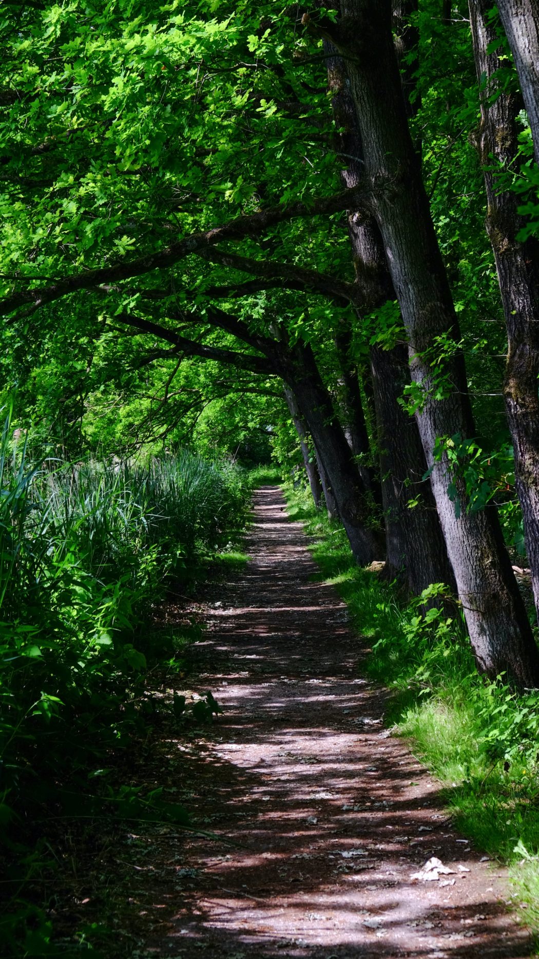 kw-falkena-KGRV6JGGdXc-unsplash (1)