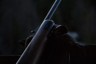 Kaliber .243 Winchester – Leistungsträger auf Niederwild