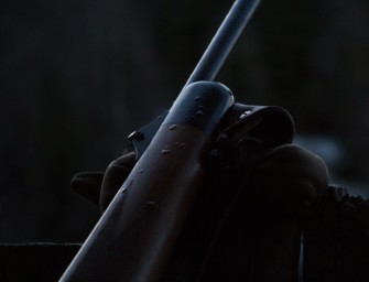 Kaliber .243 Winchester – Leistungsträger auf Niederwild