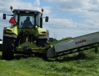 Rehkitze tot gemäht – Landwirt verurteilt