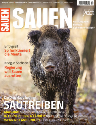 Sautreiben
