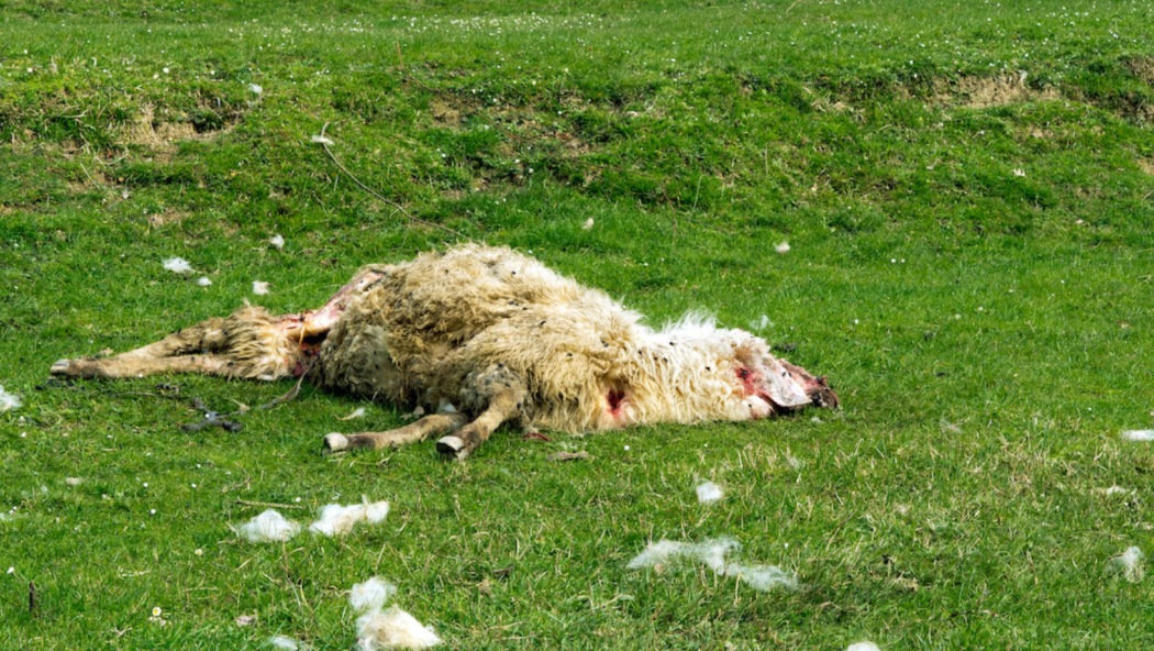 Design ohne Titel (1)