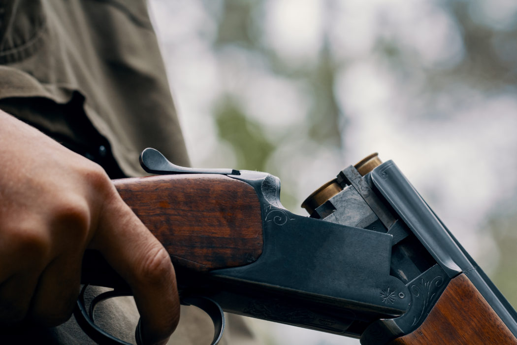 Hand of a hunter with an open shotgun with cartridges during a hunting day in woodland