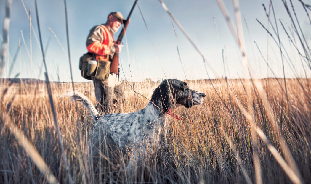 Upland bird hunter in field with his dog