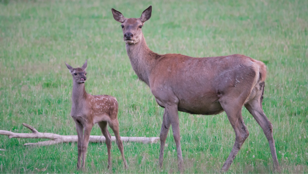 Design ohne Titel (8)