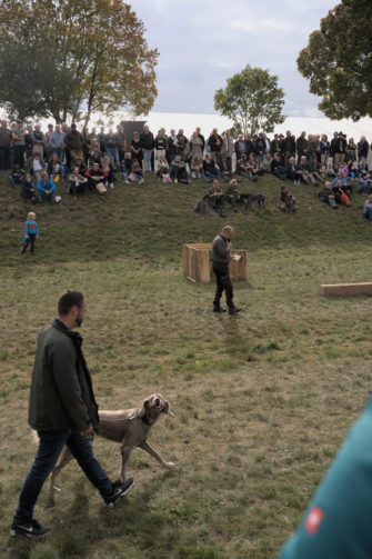  Grünau: Rückblick auf eine traditionsreiche Jagdmesse - Jäger Illustration 