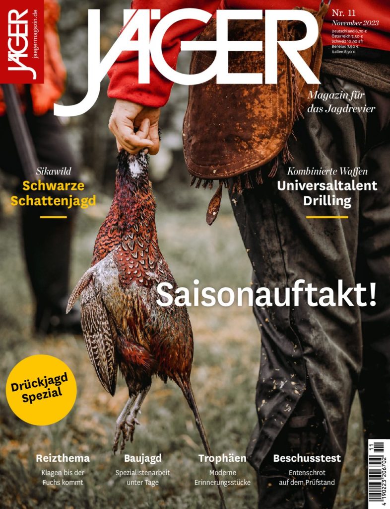 JAE_2023_11_Cover