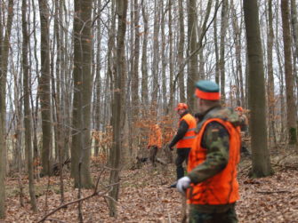 Wie unterscheiden sich Drückjagd und Treibjagd?