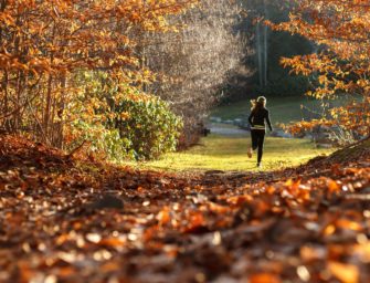 Joggerin durch Schrotgarbe verletzt
