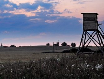Sachsen-Anhalt: Forstministerium fordert höhere Abschusszahlen