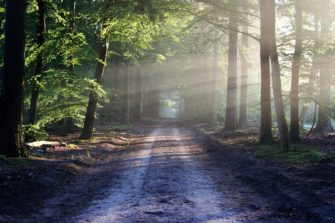 35 Jahre Zweckverband Schaalsee-Landschaft: Erfolgreicher Naturschutz