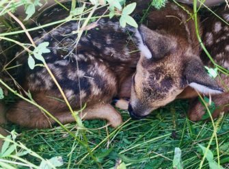 Förderung für Drohnen – jetzt Antrag stellen