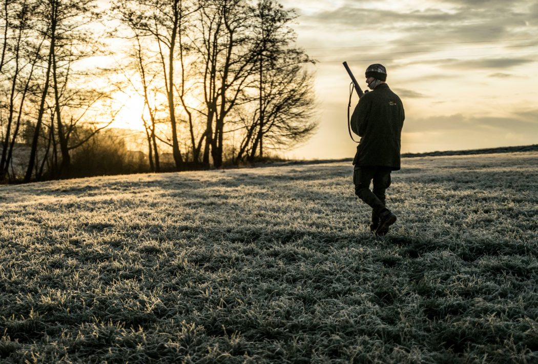 julian-hanslmaier-QcMedSj7g-o-unsplash