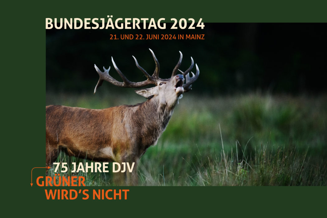 2024-06_Pressefoto_Bundesjaegertag_2024-DJV