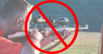 Wuppertal: Jagdgegnerin lässt Privatwald befrieden