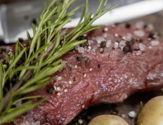 Veganer Glaubenskrieg: Jeganer in der Kritik