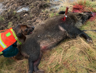 Abfangmesser in der Praxis – welches Messer wofür?