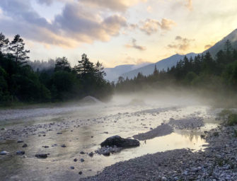 Blattjagd in den Bergen – Der Felsenbock