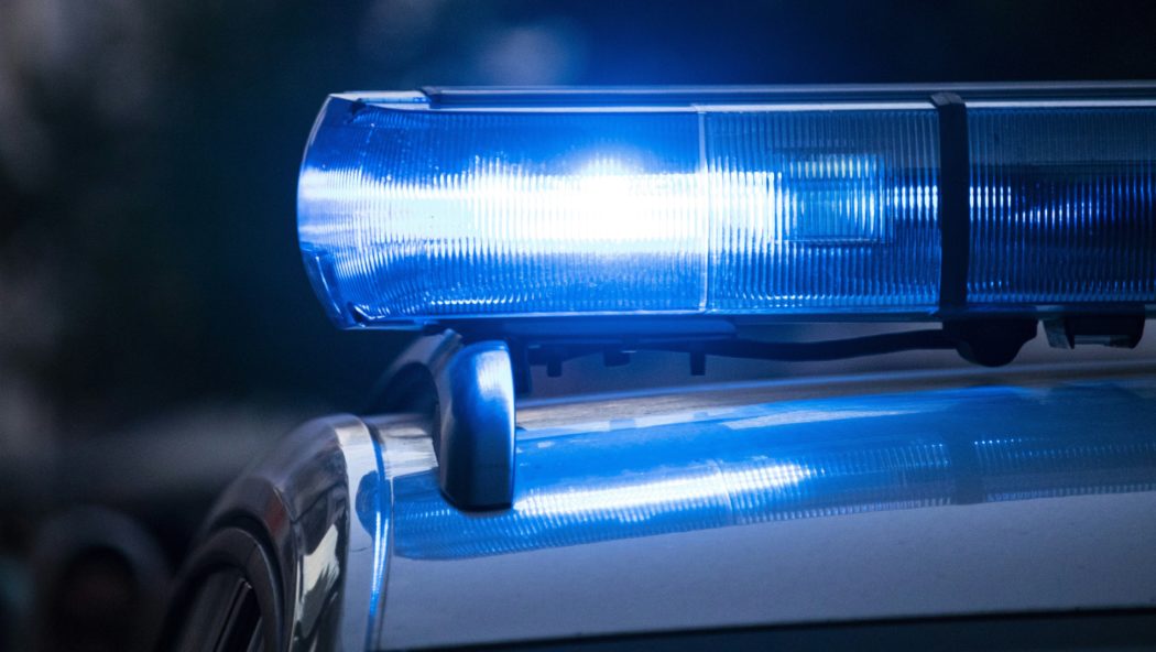 max-fleischmann-4wcI3YQAWpI-unsplash